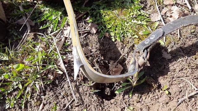 Как залезть на дерево без веток на Древолазах