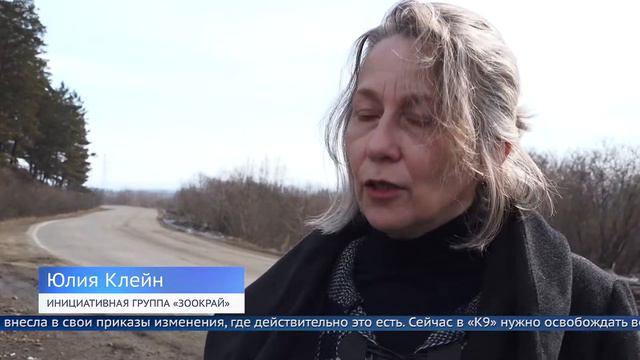 Усыпить нельзя, а содержать не на что смотреть онлайн