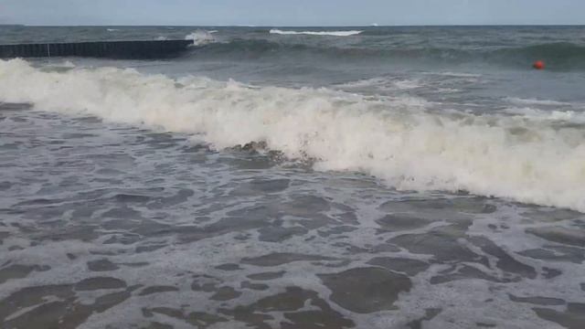НА МОРЕ ОТЛИВ, И МНОГО ВОДОРОСЛЕЙ СЕГОДНЯ?? ПРИЕХАЛИ ВМЕСТЕ В ЗЕЛЕНОГРАДСК смотреть онлайн