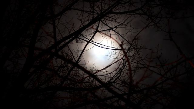 Вы НЕ ПОВЕРИТЕ в то, зачем медведи пришли к деревенской семье! смотреть онлайн