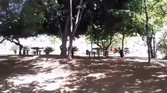 PARQUE ELOY CHAVES JUNDIAÍ | INTERIOR DE SÃO PAULO смотреть онлайн