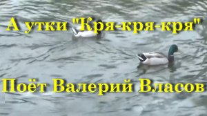 А утки Кря-кря-кря