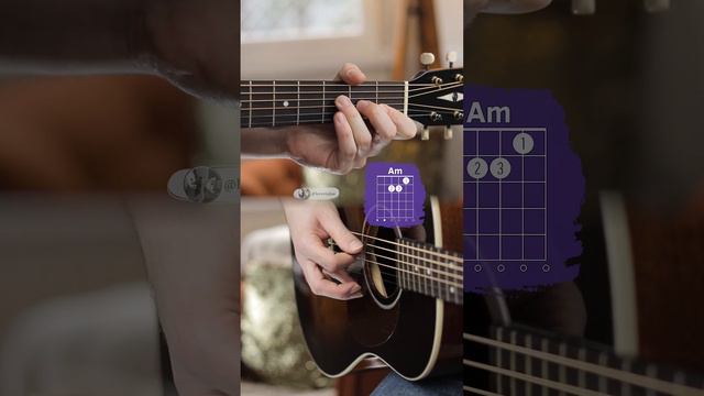 The Animals - The House of the Rising Sun смотреть онлайн