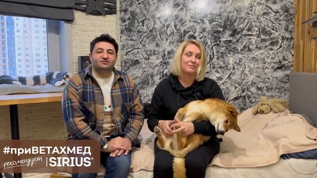 №10. Стрижка когтей у собак в домашних условиях