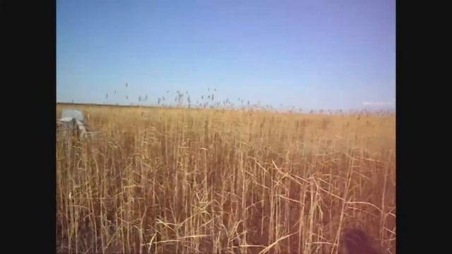 Оха Сахалин 90 л с смотреть онлайн