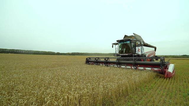 Комбайн RSM 161 — бескомпромиссный выбор смотреть онлайн