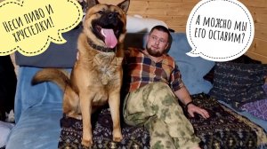 Сколько весит Пёс Кубик? Кто пустил собаченьку на диванчик?