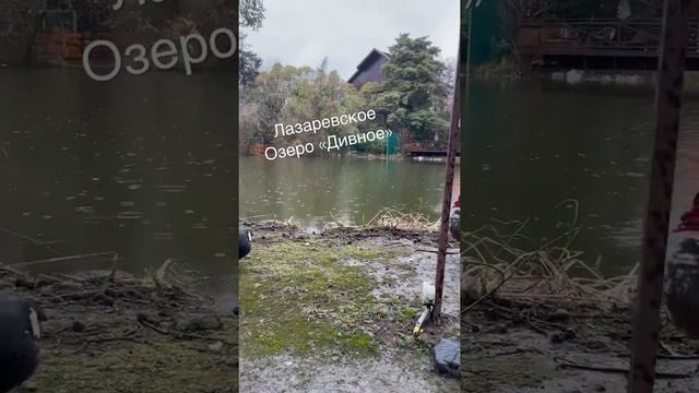 Озеро Дивное, Лазаревское смотреть онлайн