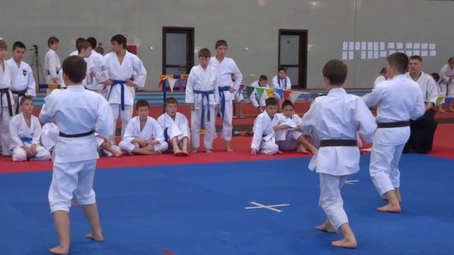 традиционное карате смотреть онлайн