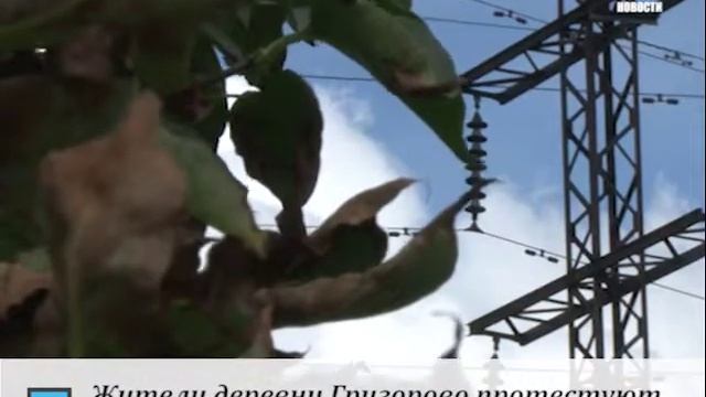 Жители деревни Григорово протестуют против ремонта ЛЭП смотреть онлайн