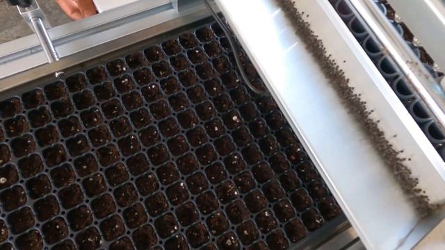 วิธีเพาะต้นกล้า แบบมืออาชีพ เอกะ แฮบปี้ฟาร์ม смотреть онлайн