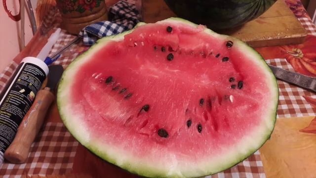 Стоит ли покупать маленькие осенние арбузы в супермаркетах «Виктория»? смотреть онлайн