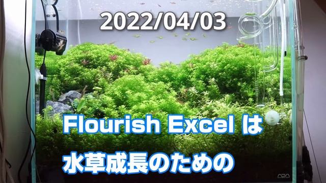 【完全検証】我が家の水槽でのシーケムFlourish Excelによるコケ駆除実験 смотреть онлайн