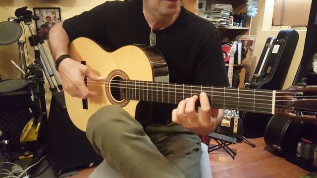 Granada Cutaway Electric, Flamenco Negra Guitar смотреть онлайн