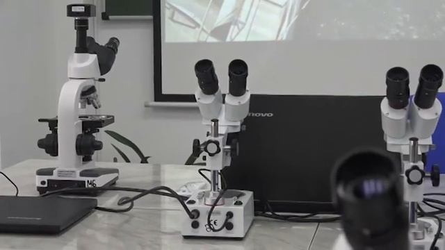 Открытие учебной аудитория по изучению ихтиологии в КрасГАУ | 20.12.2017 смотреть онлайн