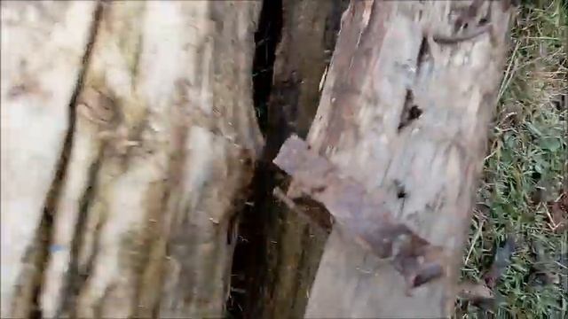 Гнилая доска - выкинуть или использовать? Как определить хорошую доску? Новая жизнь РоМашки смотреть онлайн