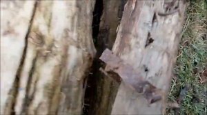 Гнилая доска - выкинуть или использовать? Как определить хорошую доску? Новая жизнь РоМашки