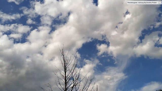 Вот это улов, удачная рыбалка на озере! смотреть онлайн