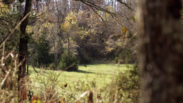 3 смотреть онлайн