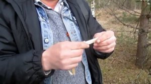 Как свистеть на березовой коре.