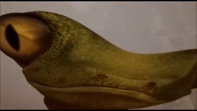 Фотопечать на белом глянцевом полотне в ванной комнате смотреть онлайн