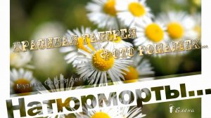 КРАСИВАЯ ГАЛЕРЕЯ ФОТО РОМАШЕК   *   Натюрморты