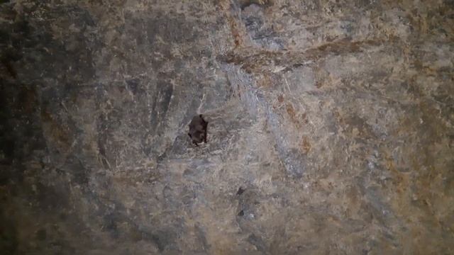 ВЛОГ: КИСЛОВОДСК/МЫ ПОТЕРЯЛИСЬ! смотреть онлайн