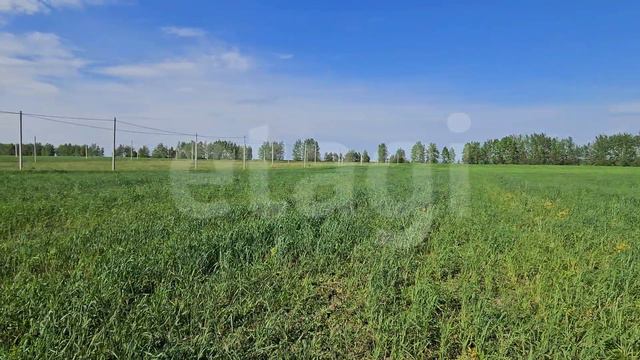 новая калмия, участок 1141 смотреть онлайн