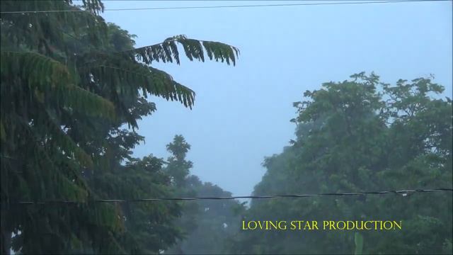 LAPLI NAN FONDENEG / RAIN IN FOND-DES-NÈGRES смотреть онлайн