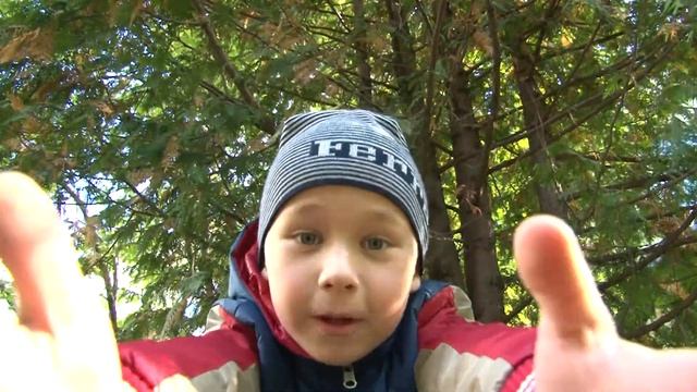 Осенний Альманах Учеников Начальной Ломоносовской школы смотреть онлайн