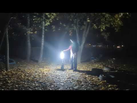 Почему светодиодная мачта GREENWORKS G24WLS всегда работает так, как мы ожидаем смотреть онлайн