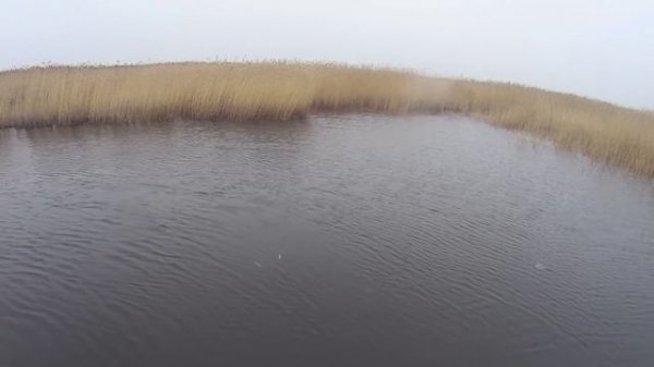 Lucky Craft Pointer 128 SSR. Жадная щука на большой воблер.