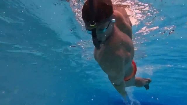 Постановка правильной работы корпуса при плавании кролем ?♂️ смотреть онлайн