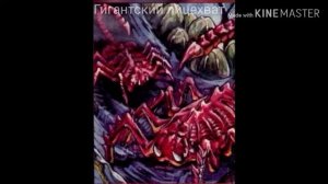 Все виды лицехватов