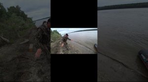 Резинки ловят по ДВЕ РЫБЫ! Такое не редкость!#shorts