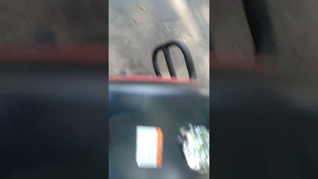 Вега ретро 2019 смотреть онлайн