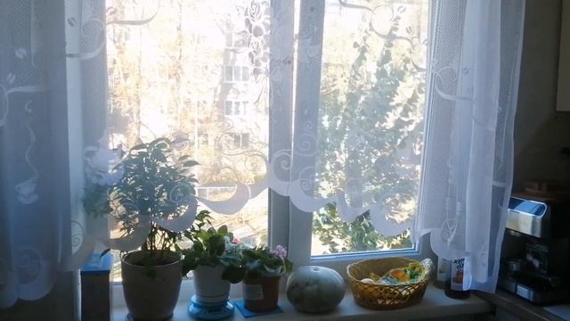 Том-ям по-деревенски?? Новая прическа?Выгодные покупки?Весёлый зоопарк? смотреть онлайн