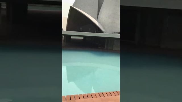 Delhi sightseeing Lotus Temple смотреть онлайн