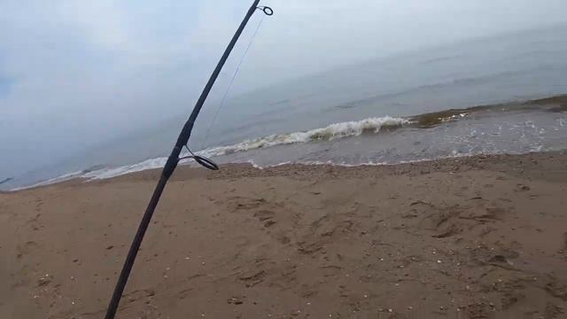 Fluke from shore using bucktails and gulp смотреть онлайн