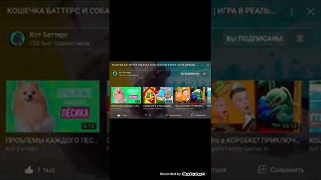 подпишитесь на канал кошечка баттерс и собачка Элис смотреть онлайн