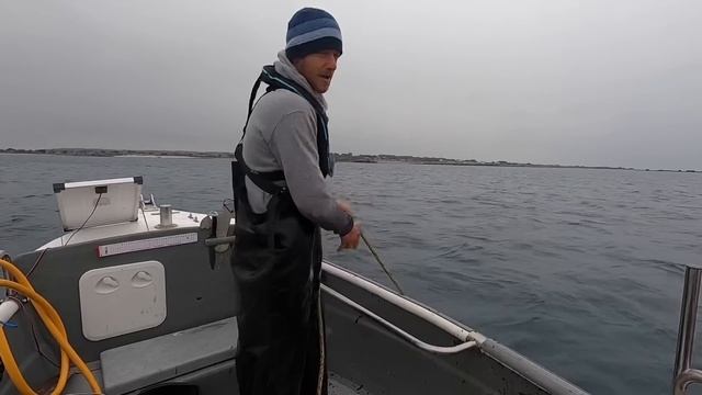 GIANT CRABS !! - Delicious Coconut & Crab Linguine!