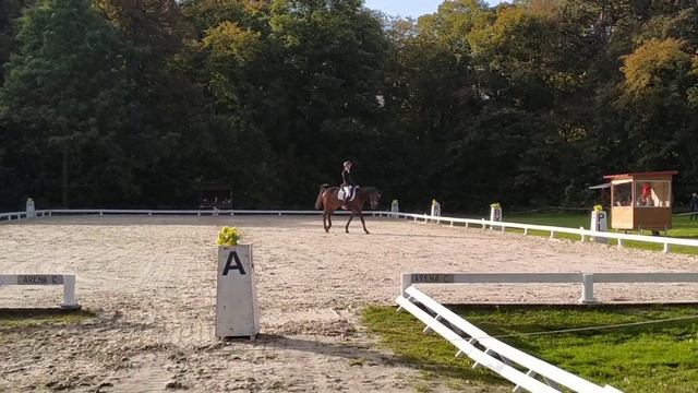 Задумка Польша CCI2*L 09-13.10.19 смотреть онлайн