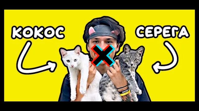 песня про котят но только музыка смотреть онлайн