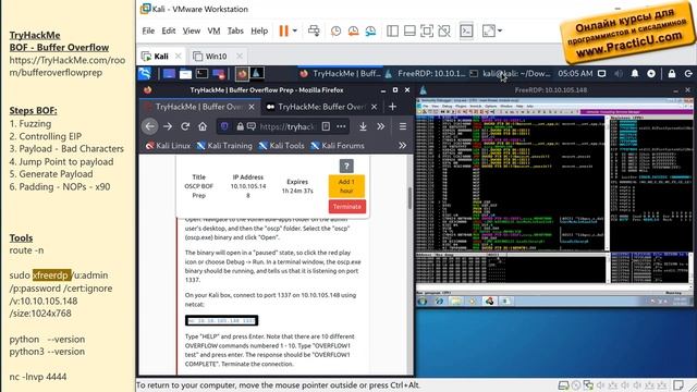 Атака Buffer Overflow - Этап 1 - Поиск уязвимости методом фаззинга - Fuzzing смотреть онлайн