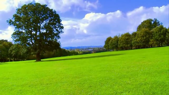 ГОЛОС - 2018. Вероника Сыромля смотреть онлайн