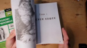 Как научиться рисовать с нуля? Книги по рисованию для начинающих | Мои мнения и рекомендации