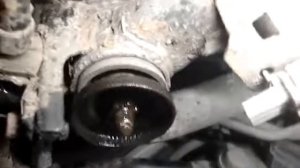 Сайлентблоки заднего подрамника X-Trail T30.