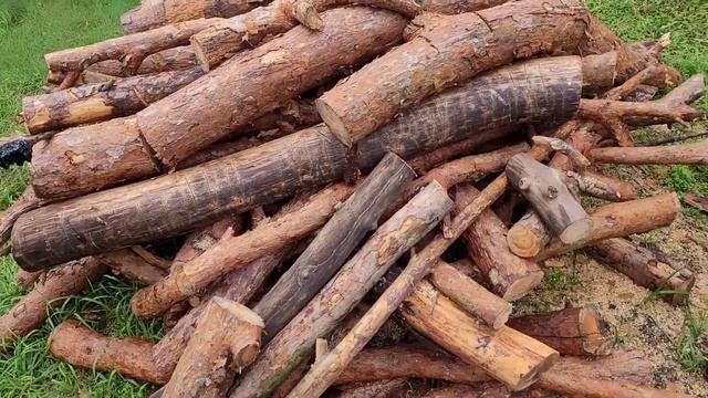 Zenoah G2500, geniusz, protoplasta wielu pilarek, żadnej innej piły nie sklonowano w takiej ilości. смотреть онлайн