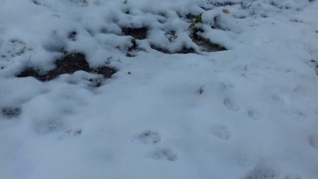 Первая прогулка с малышом смотреть онлайн