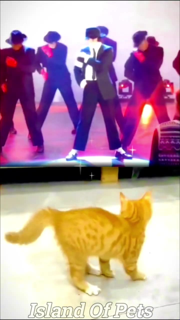 Best-funniest-animal-videos-😅-funny-cats-and-dogs-videos-😂
#funny #animals